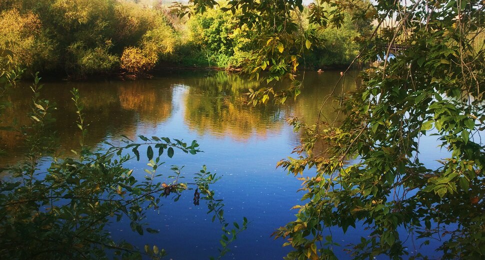 У реки