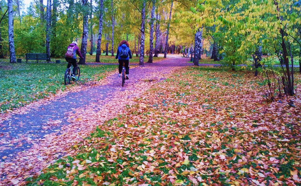 Осенью на велосипеде