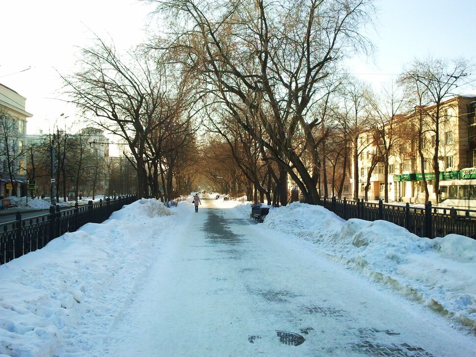 По заснеженному проспекту