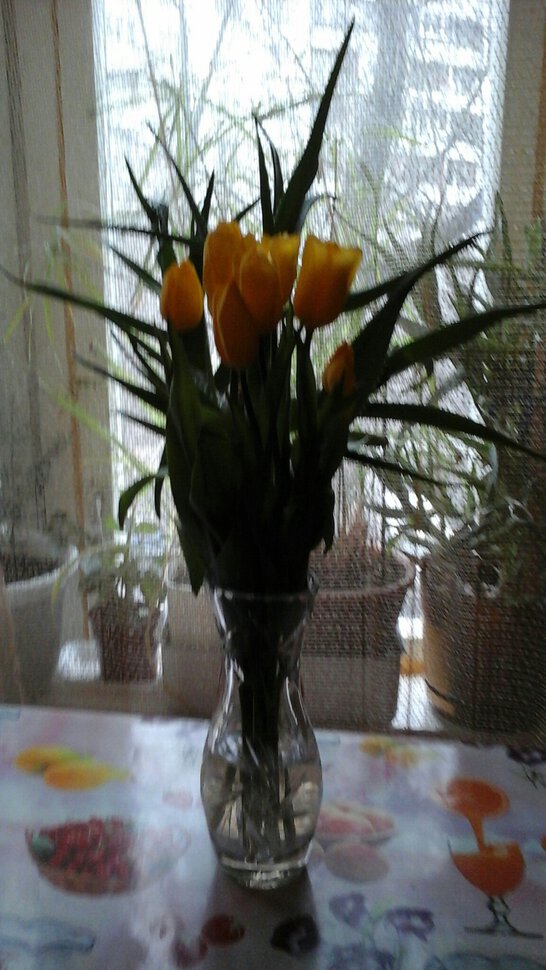 Букет тюльпанов жёлтых
