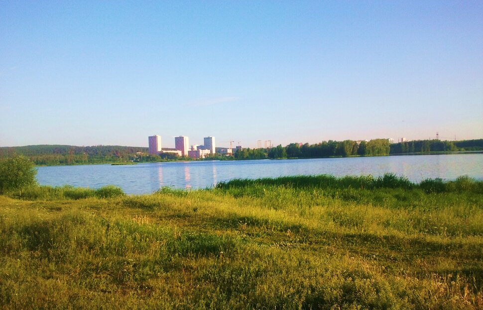 Летом у реки
