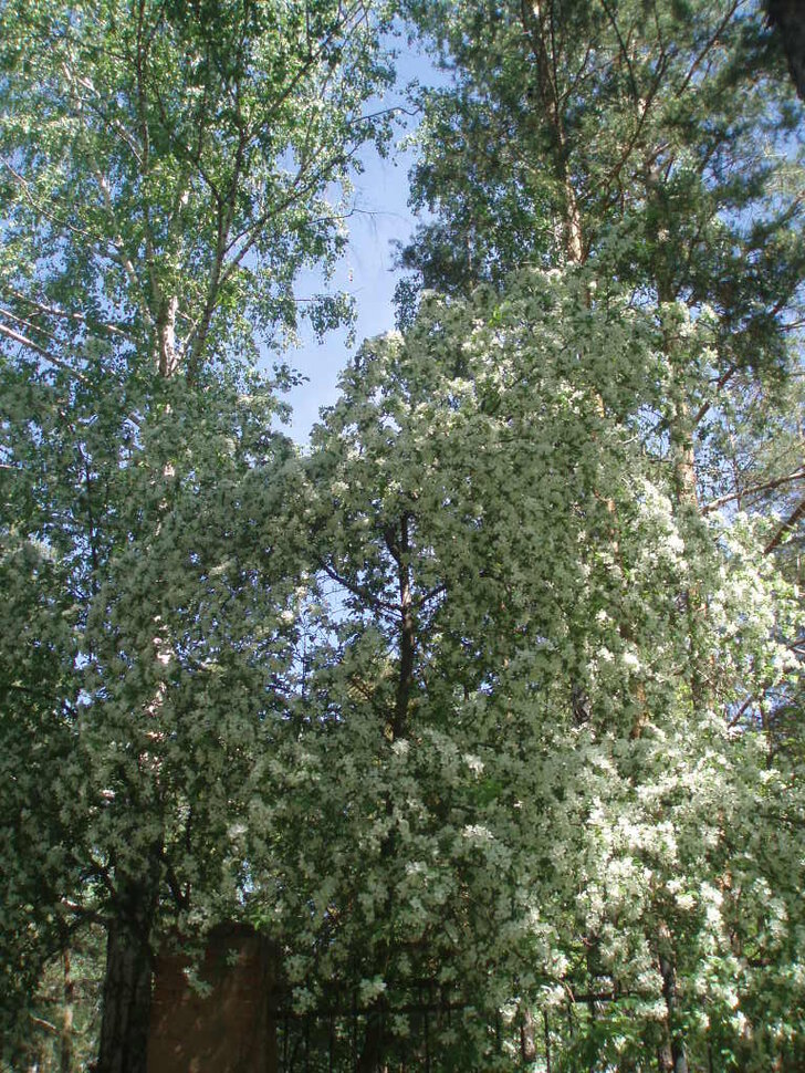 Мама, папа, я - дружная семья
