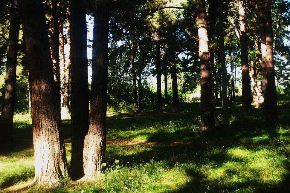 На солнышке