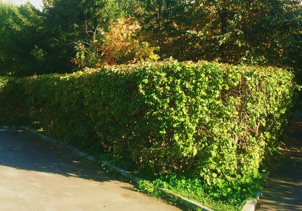 Сентябрь