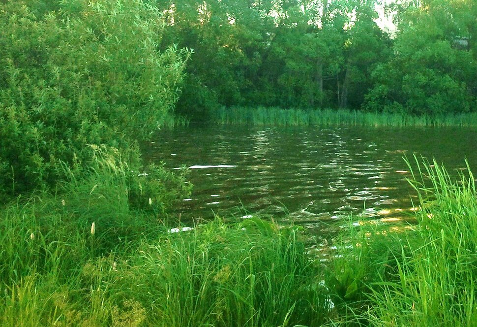 У реки