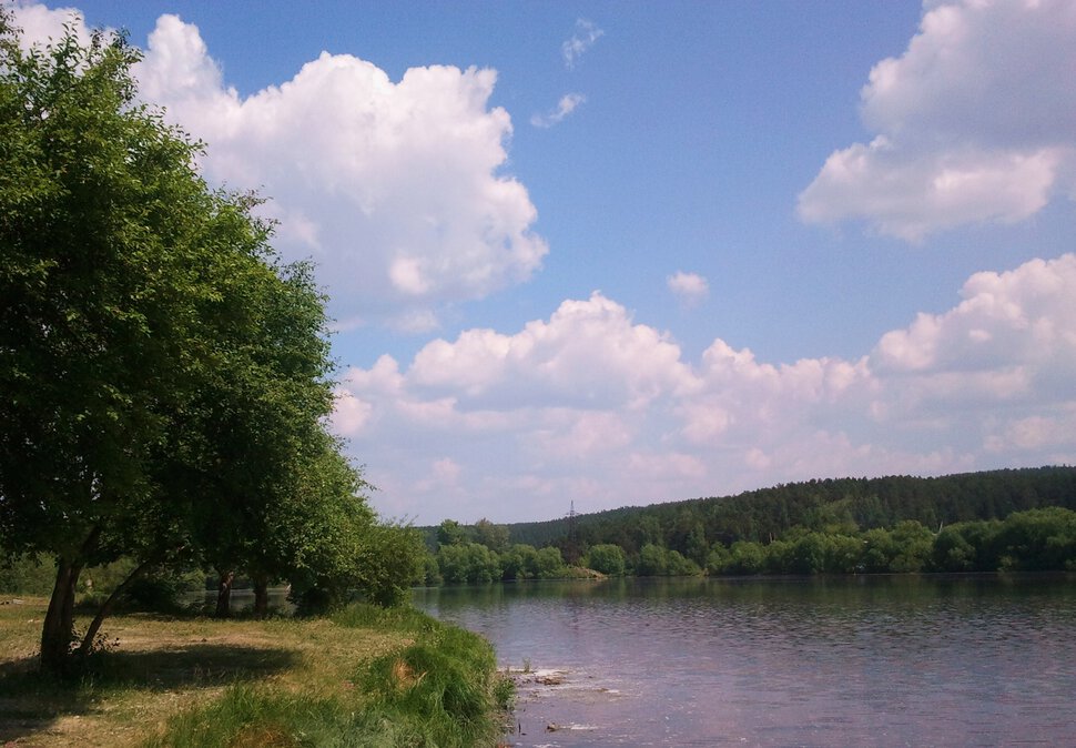 Летом у реки