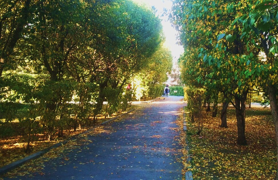 Сентябрь