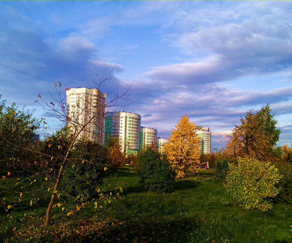 В городском парке