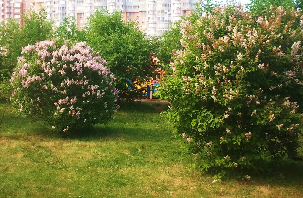 Июнь