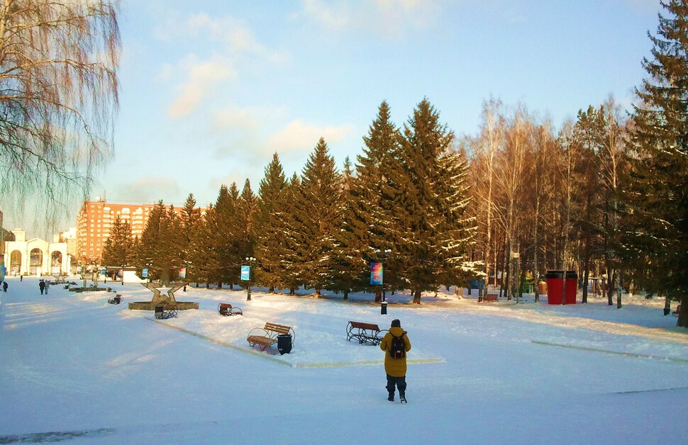 Нелюдно в зимнем парке