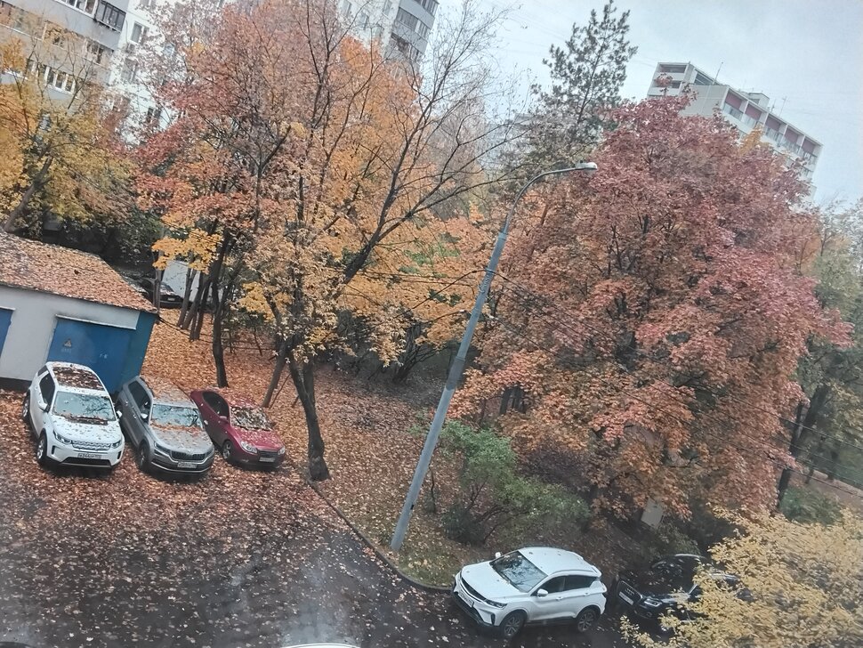 Осень пришла в Москву
