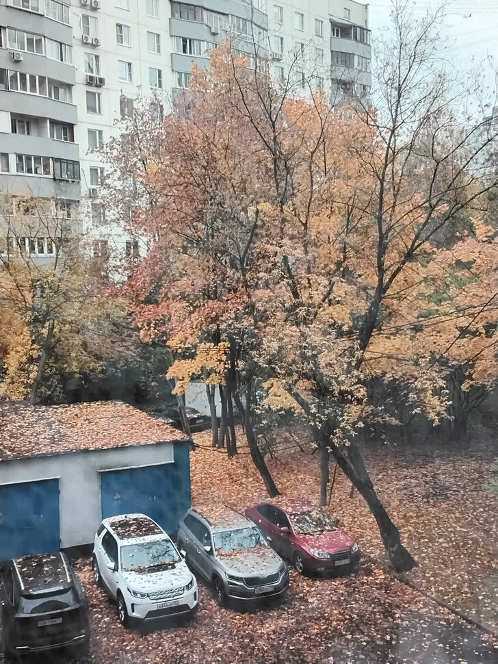 Осень пришла в Москву
