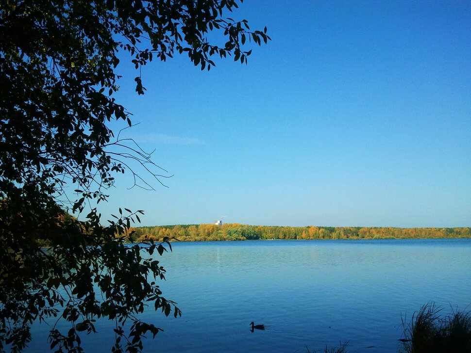 У синего озера