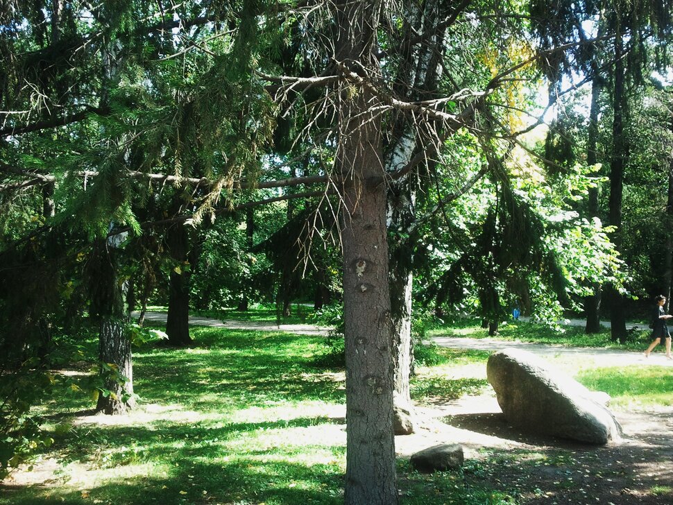 В дендрарии