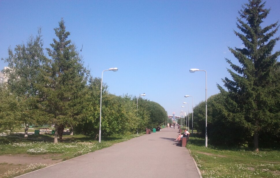 В парке летом