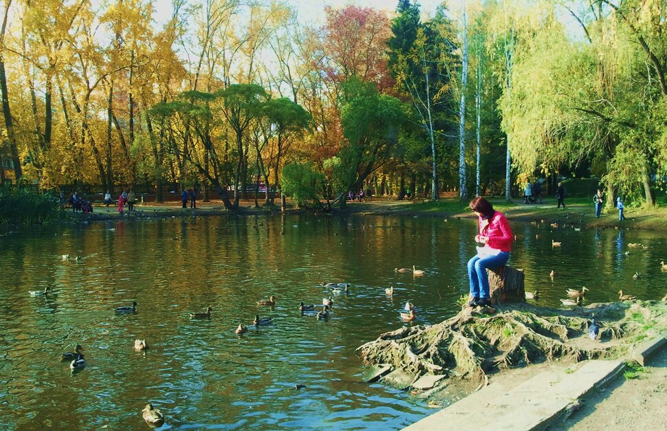 В парке у озерца