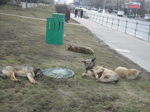 И земля казалась ласковой