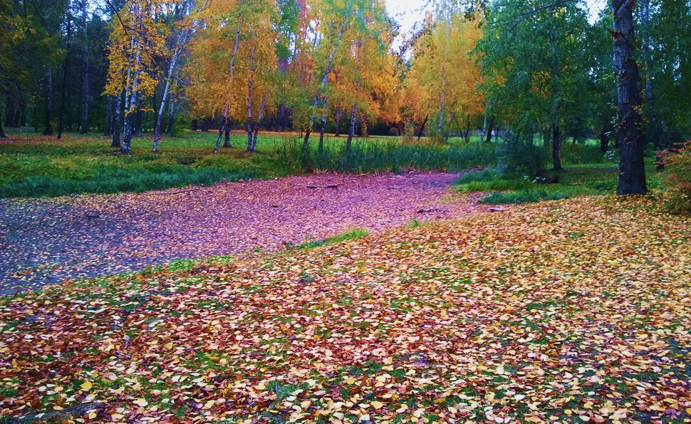 По ложбинке осенью
