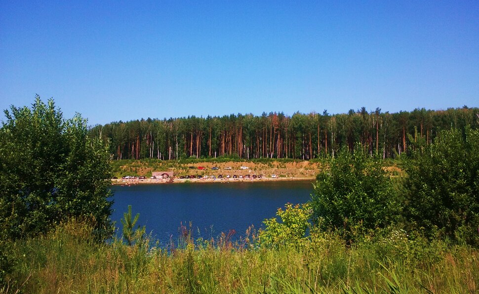 В лесу