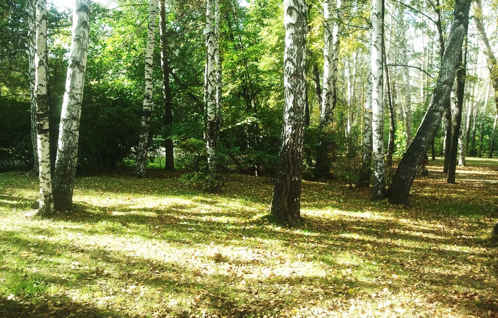 Сентябрь
