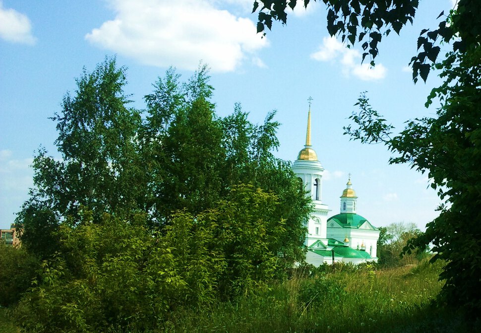 В лесу