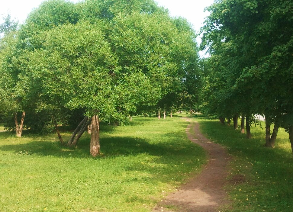 Июнь