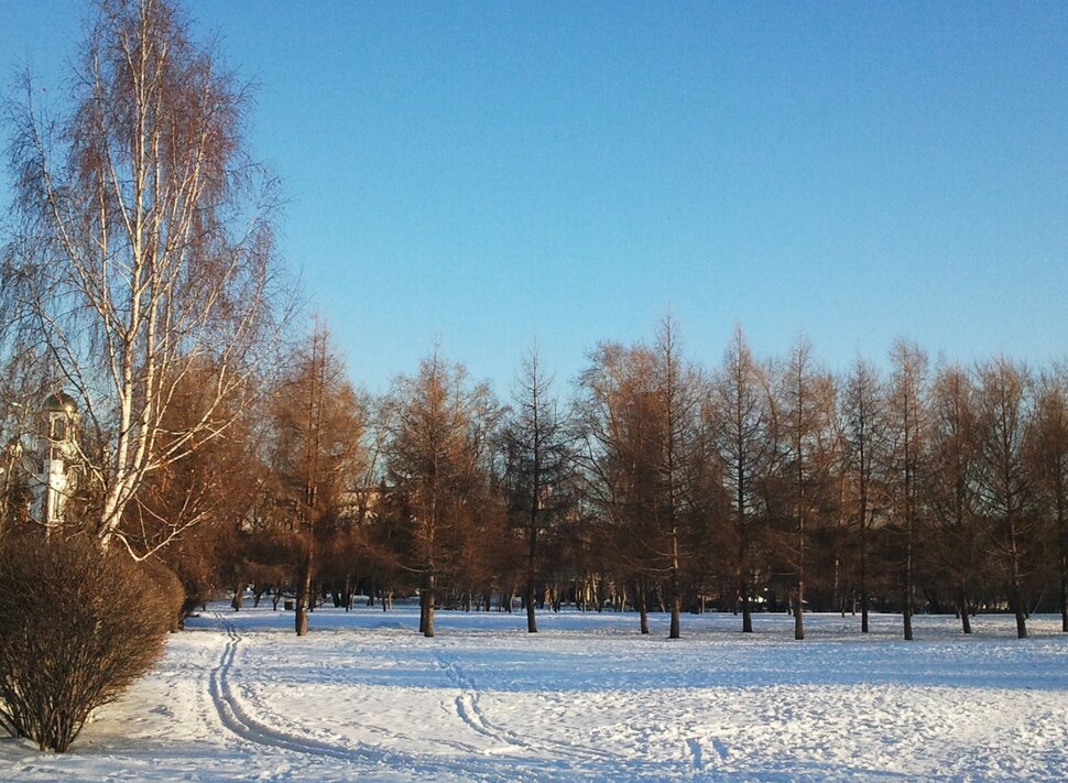 В сквере