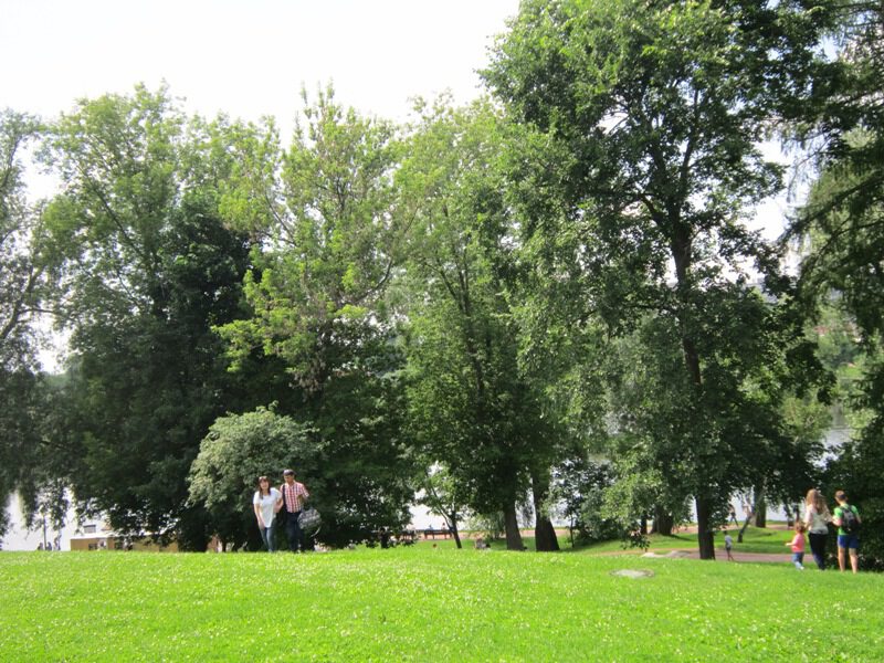 Летом в парке Царицыно