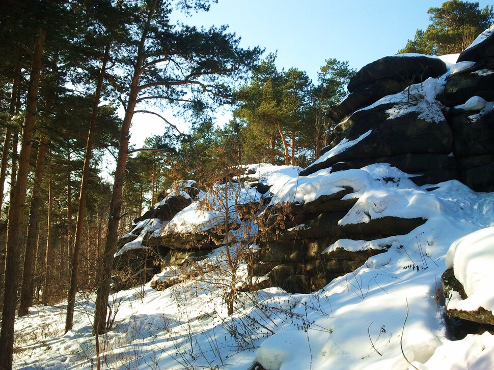 По лесам и горам