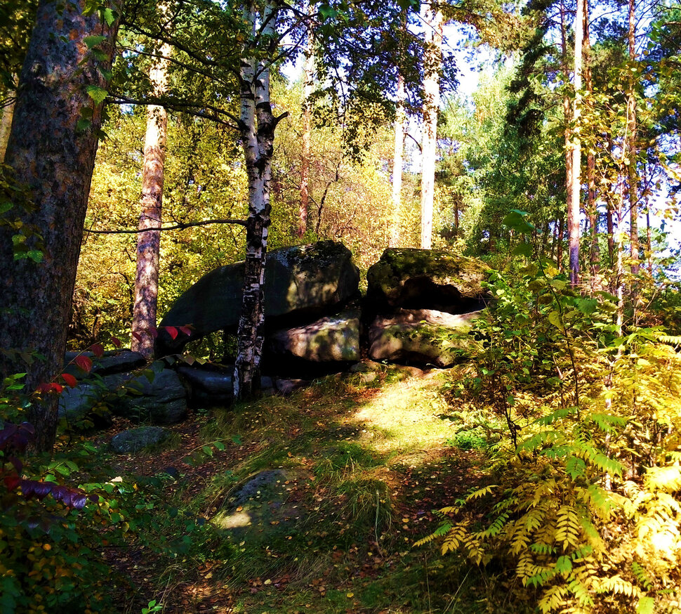 По лесам и камням