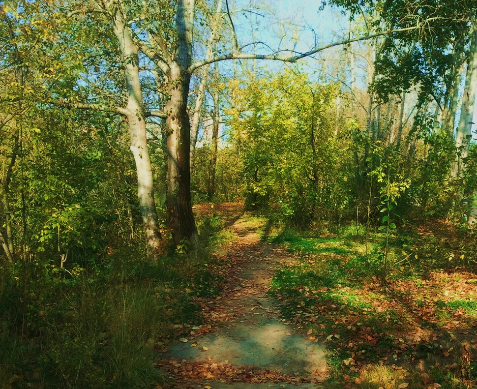 Сентябрь