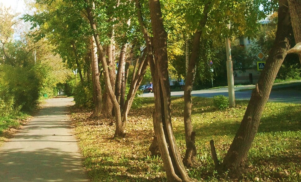 Сентябрь