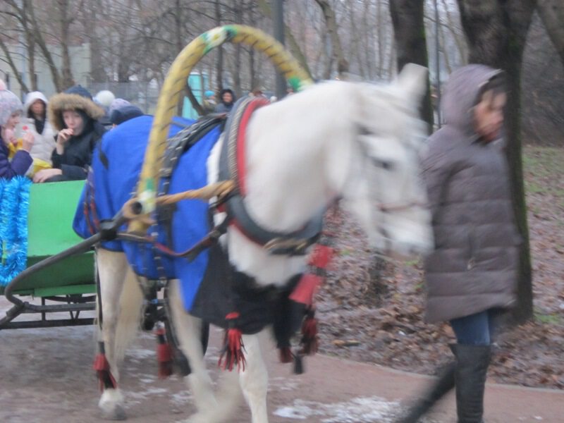 В праздник в парке