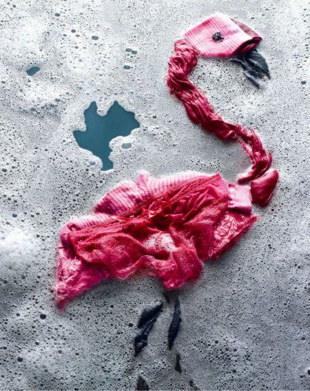 Фото розовых фламинго