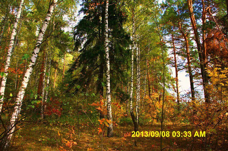 Красота осенней природы