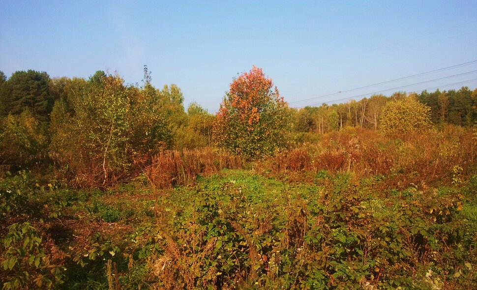 Сентябрь