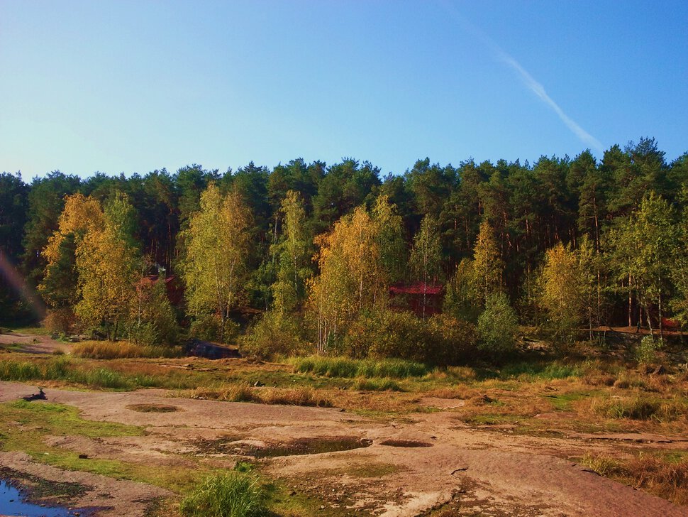 Осенний пейзаж