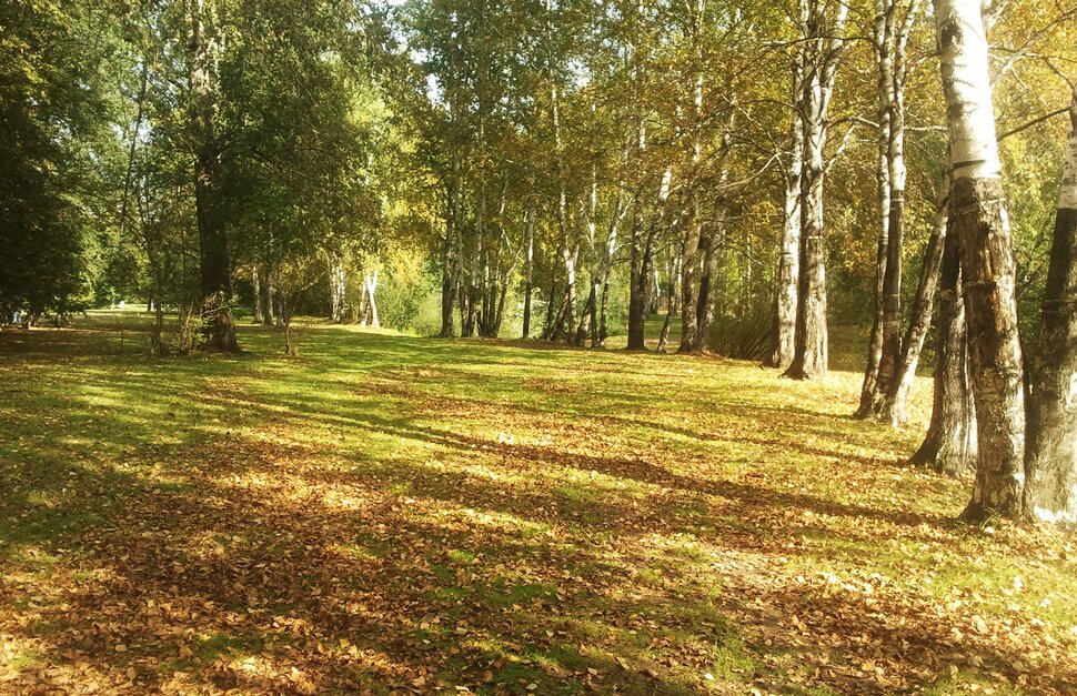 Сентябрь