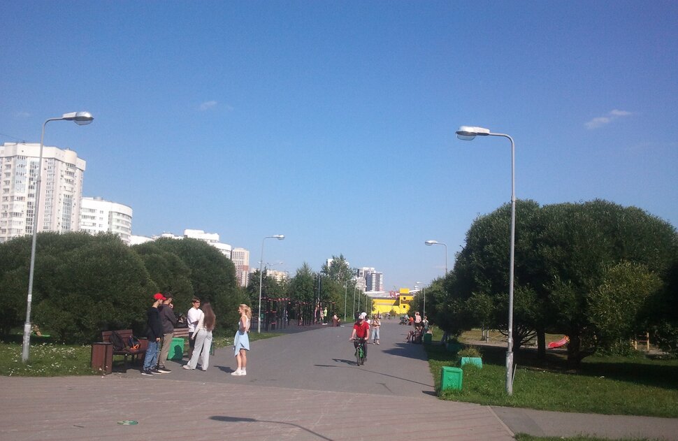 В парке летом