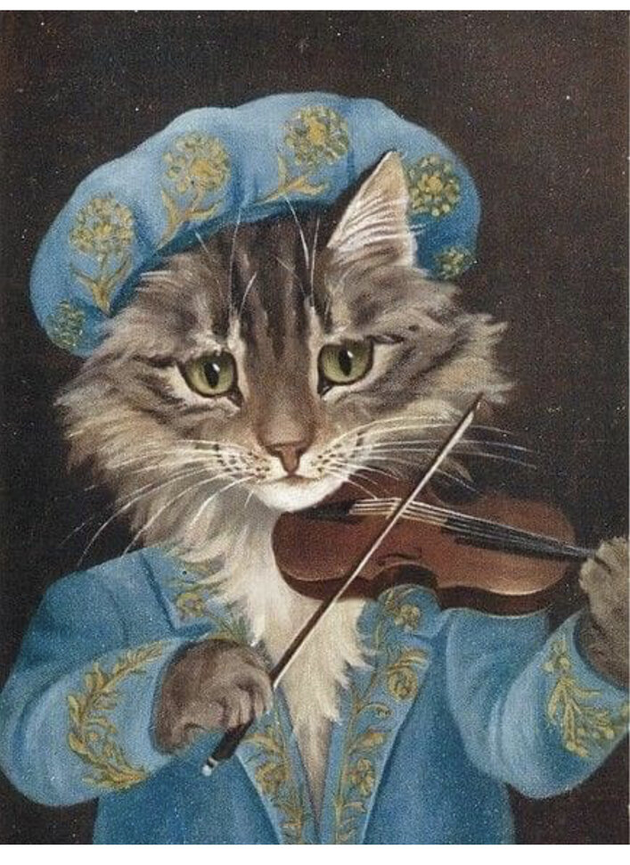 Кот со скрипкой рисунок
