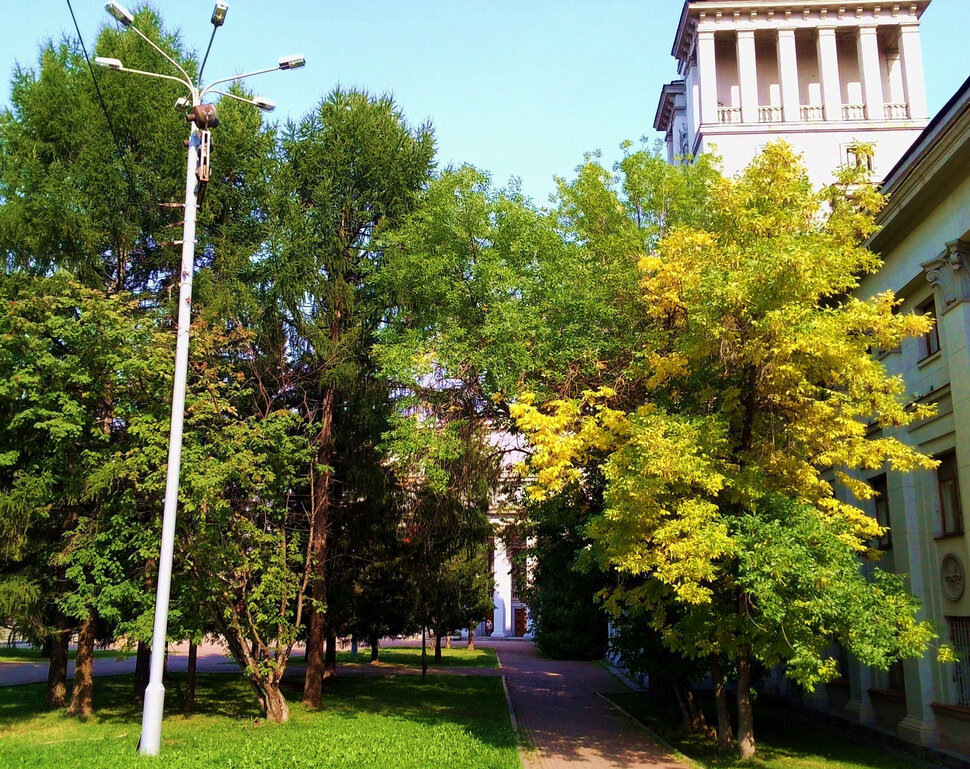 У Дома офицеров