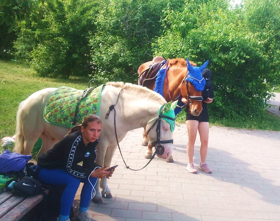 В парке летом