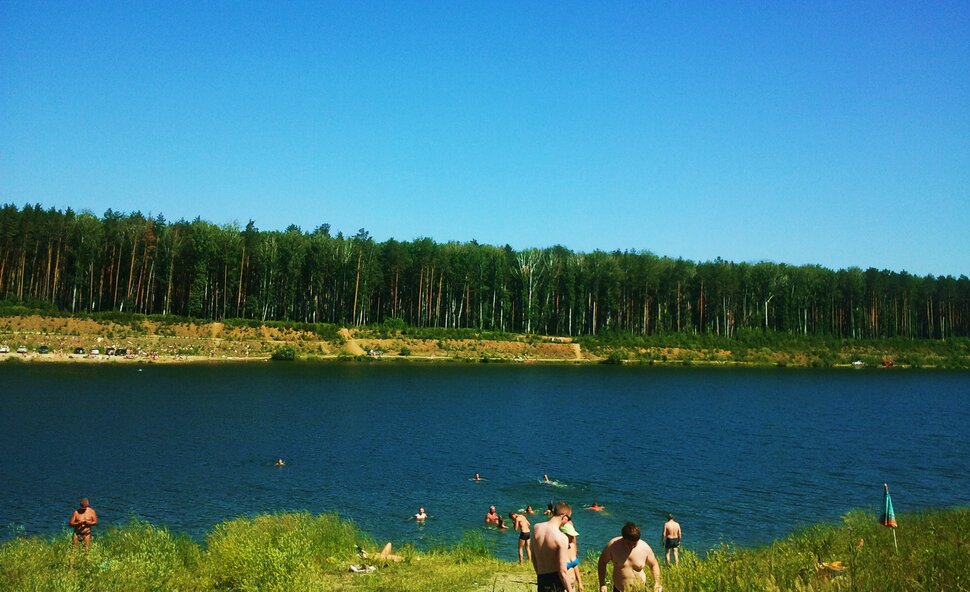 На пляже в лесу
