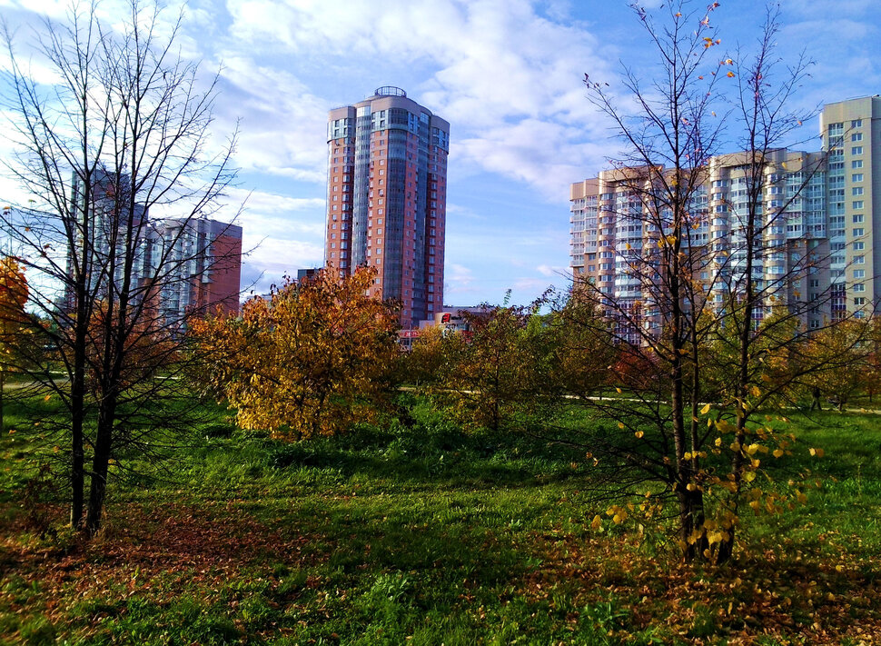 Осень в парке