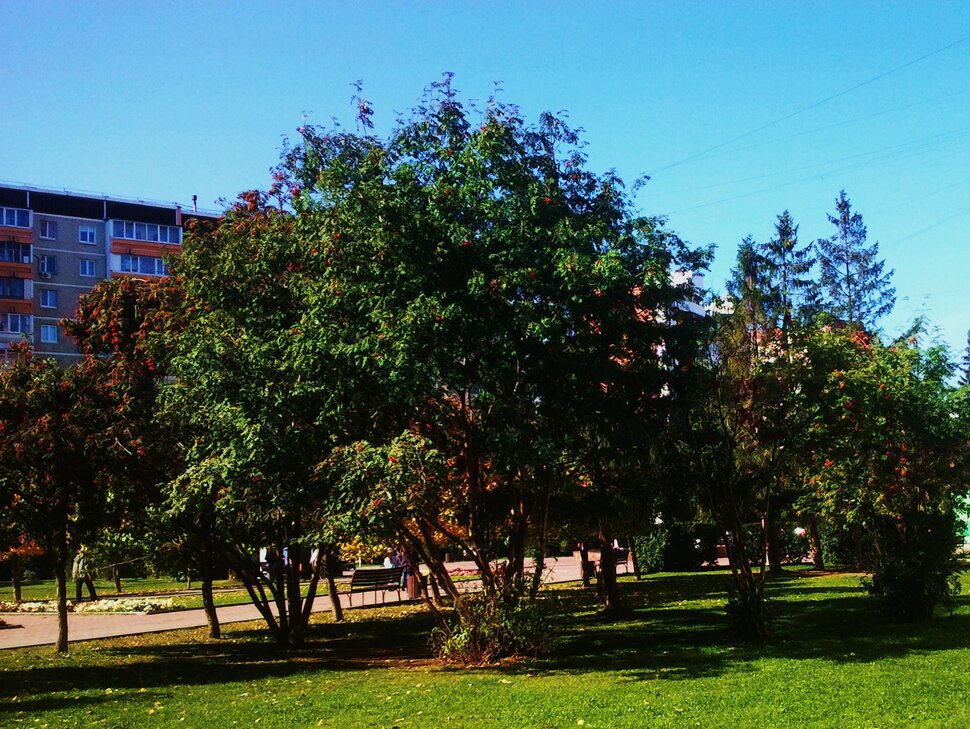 По бульвару