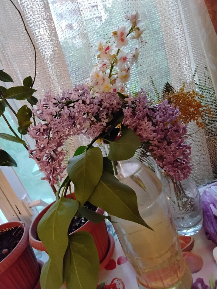 Сирень и каштан