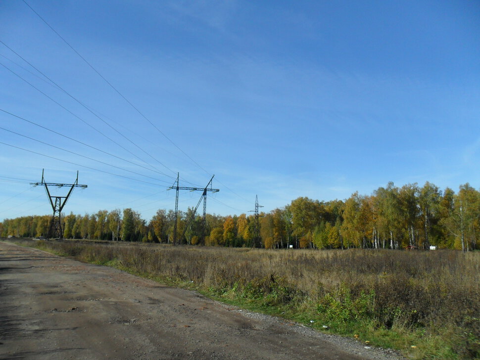 Солнцеликая осень в Чехове