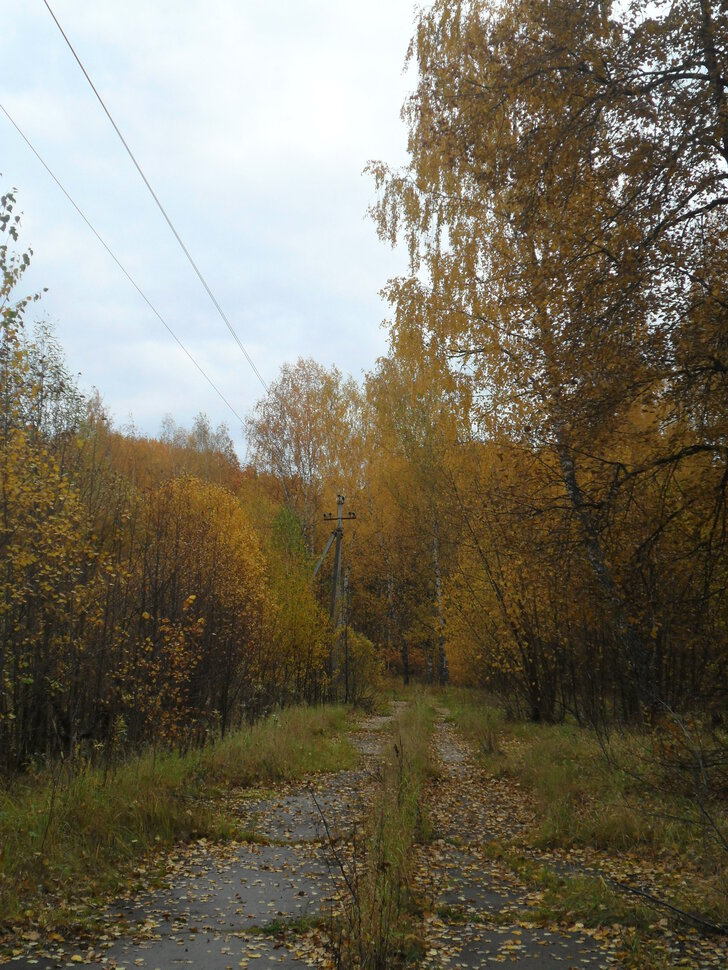 Солнцеликая осень в Чехове