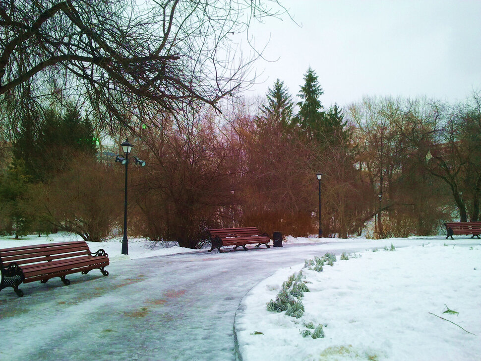 В зимнем парке