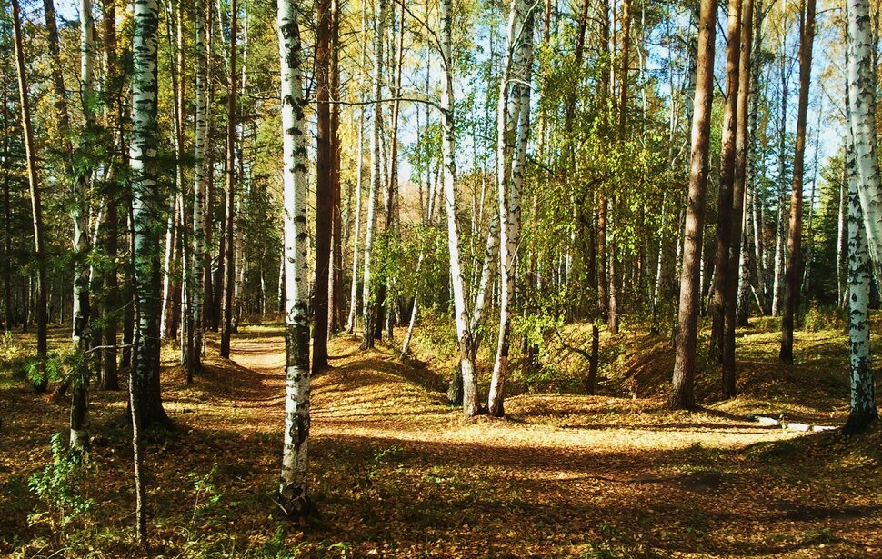 Веселый осенний уголок